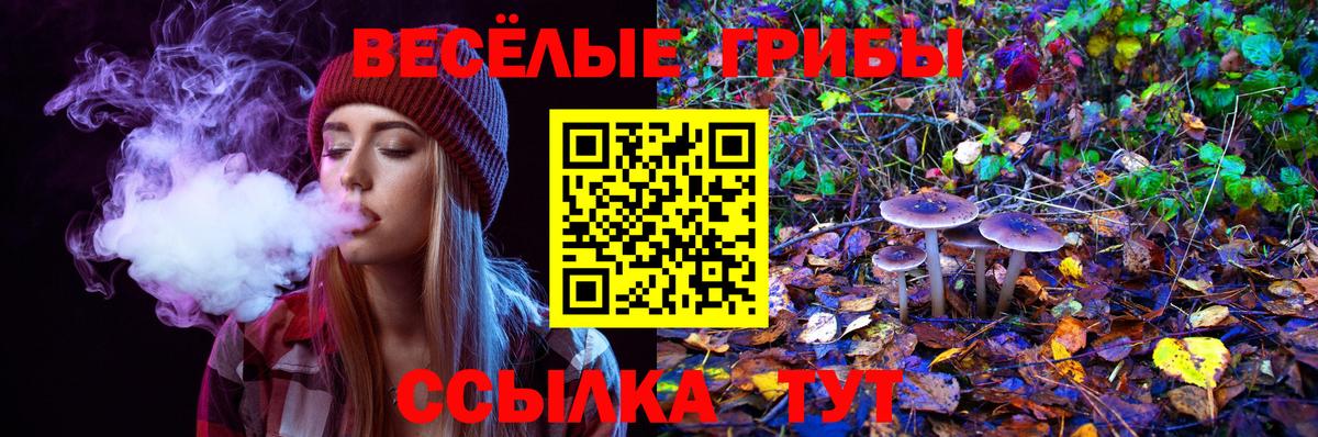 Галлюциногенные грибы прущие грибы Сердобск